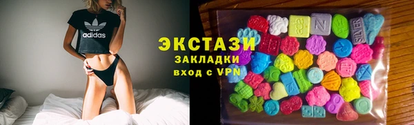 ECSTASY Бородино